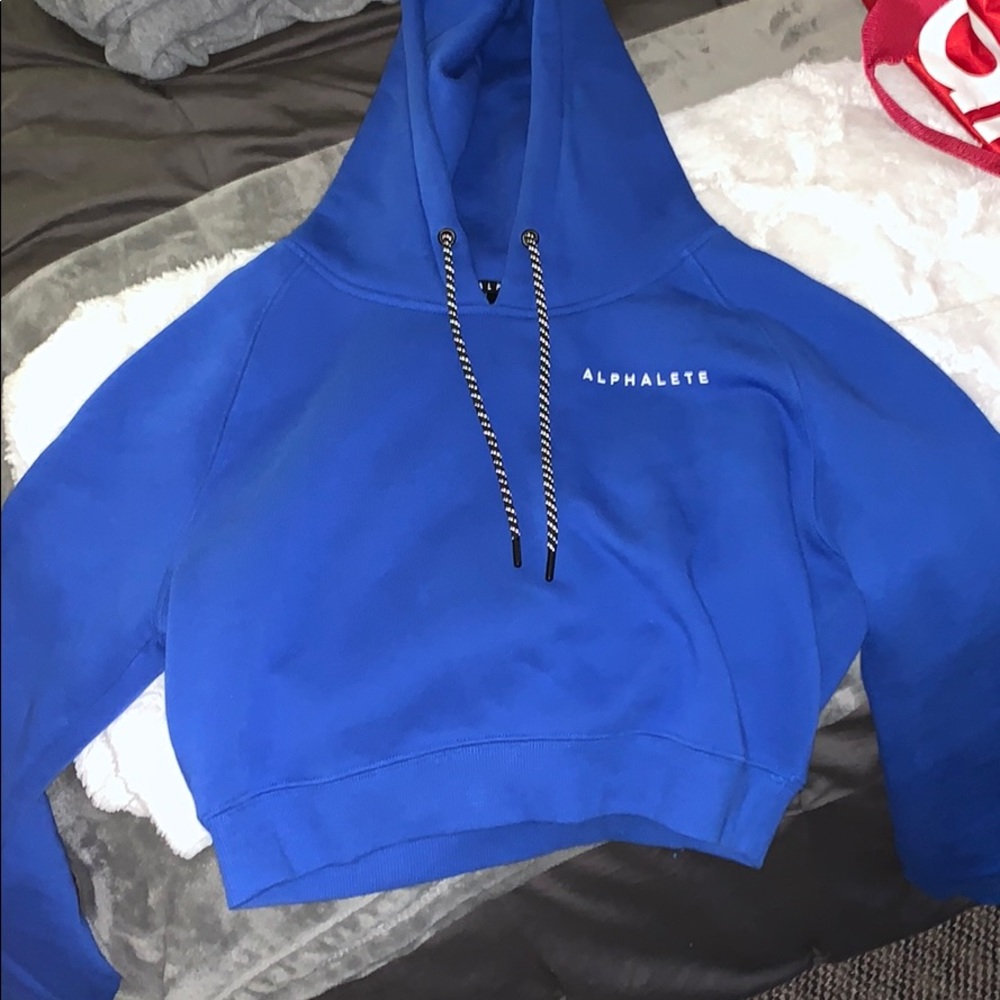 Alphalete Cropped Hoodie